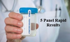 5 panel rapid results